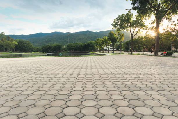 Best Driveway Paving Contractor  in Holtsville, NY